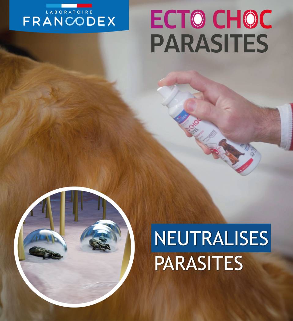 Francodex Ectochoc foam for cats and dogs 200ml