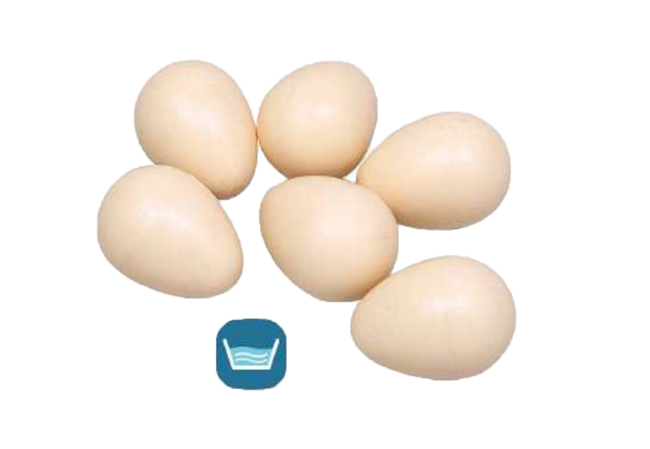Zolux nesting egg plastic