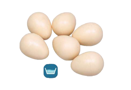 Zolux pesämuna muovia