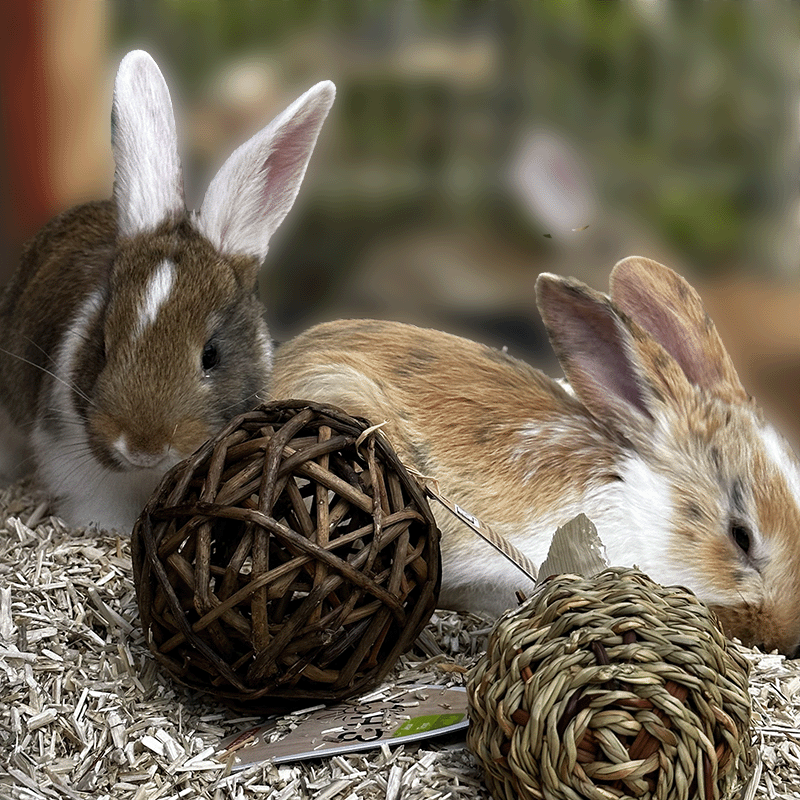 Zolux E'hop rattan ball