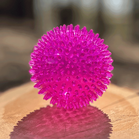 Zolux TPR Piikkipallo