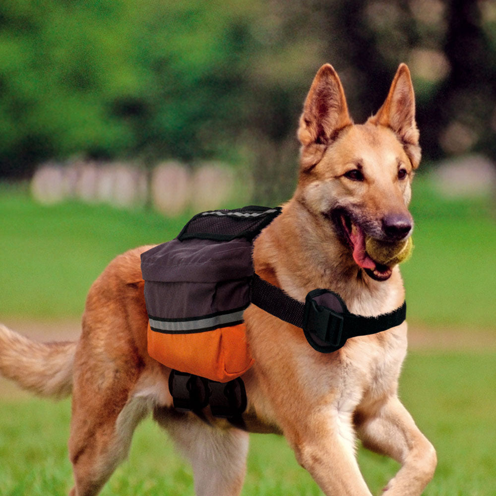 Ferplast Dog Scout dog backpack