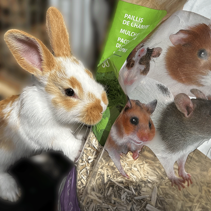 Zolux Chambiose hamppukuivike