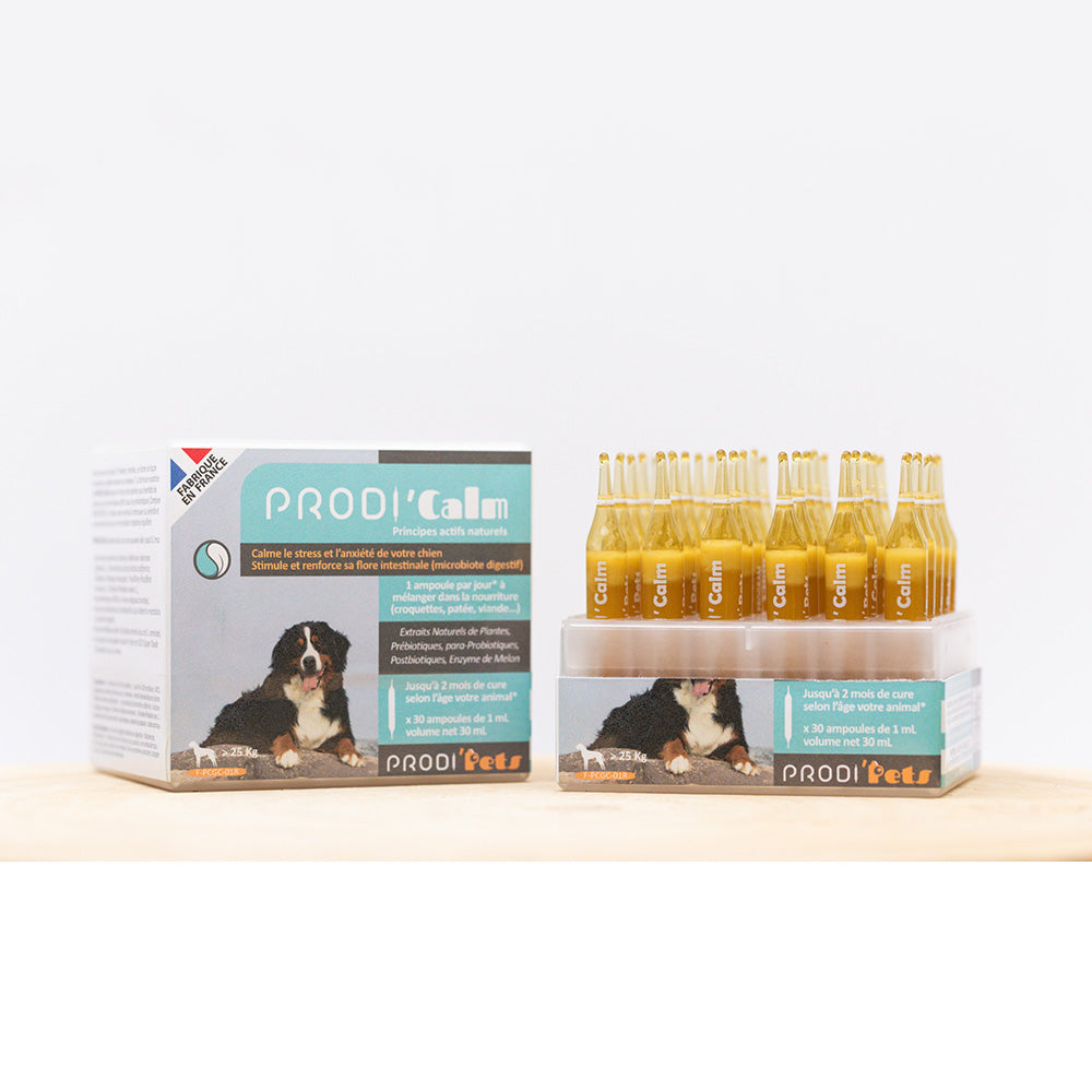 Prodi'Calm Dog probiootit ja kasviuutteet stressiä ja ahdistusta vastaan