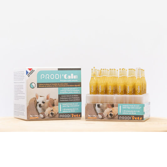 Prodi'Calm Dog probiootit ja kasviuutteet stressiä ja ahdistusta vastaan