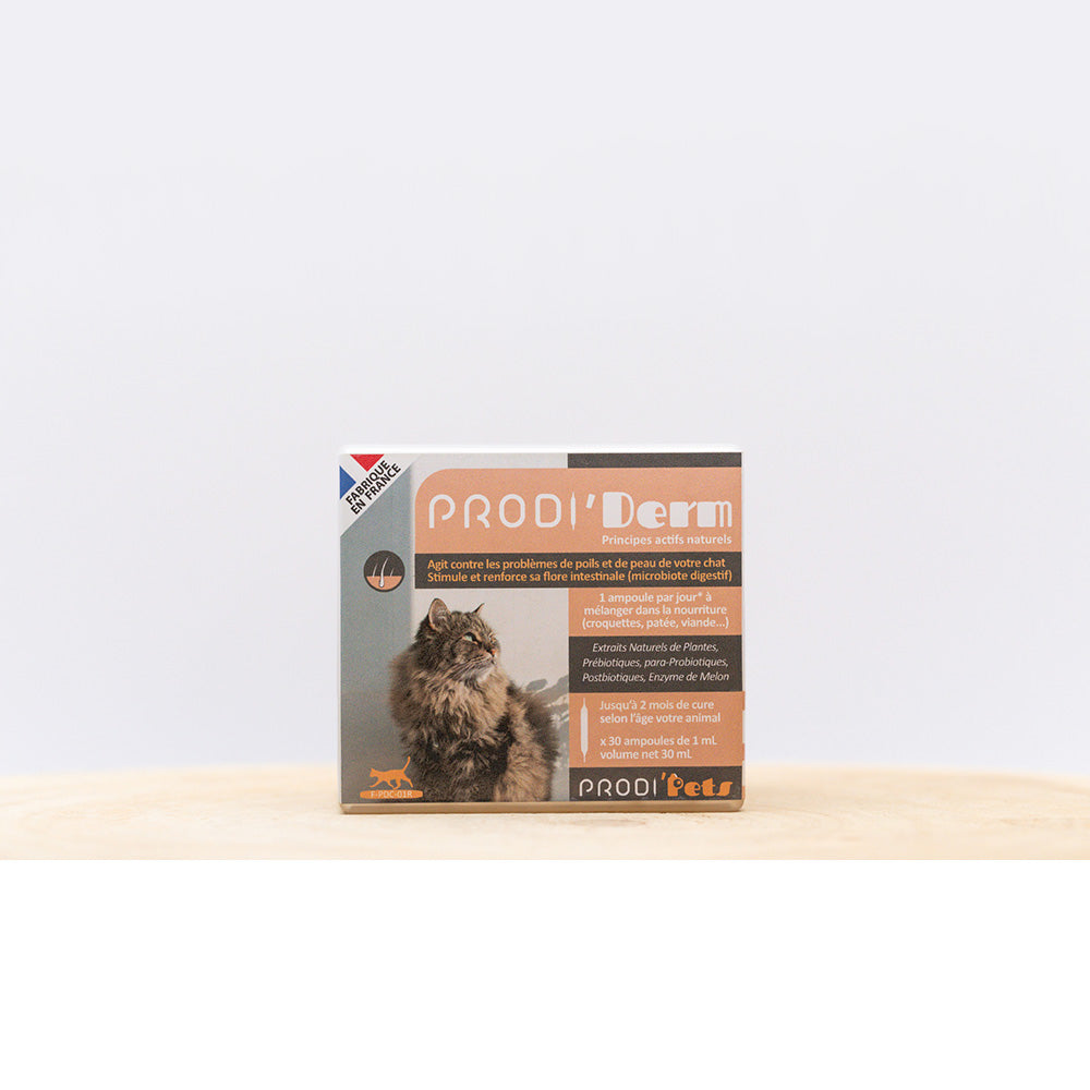 Prodi'Derm Cat helps with skin problems with probiotics and plant extracts