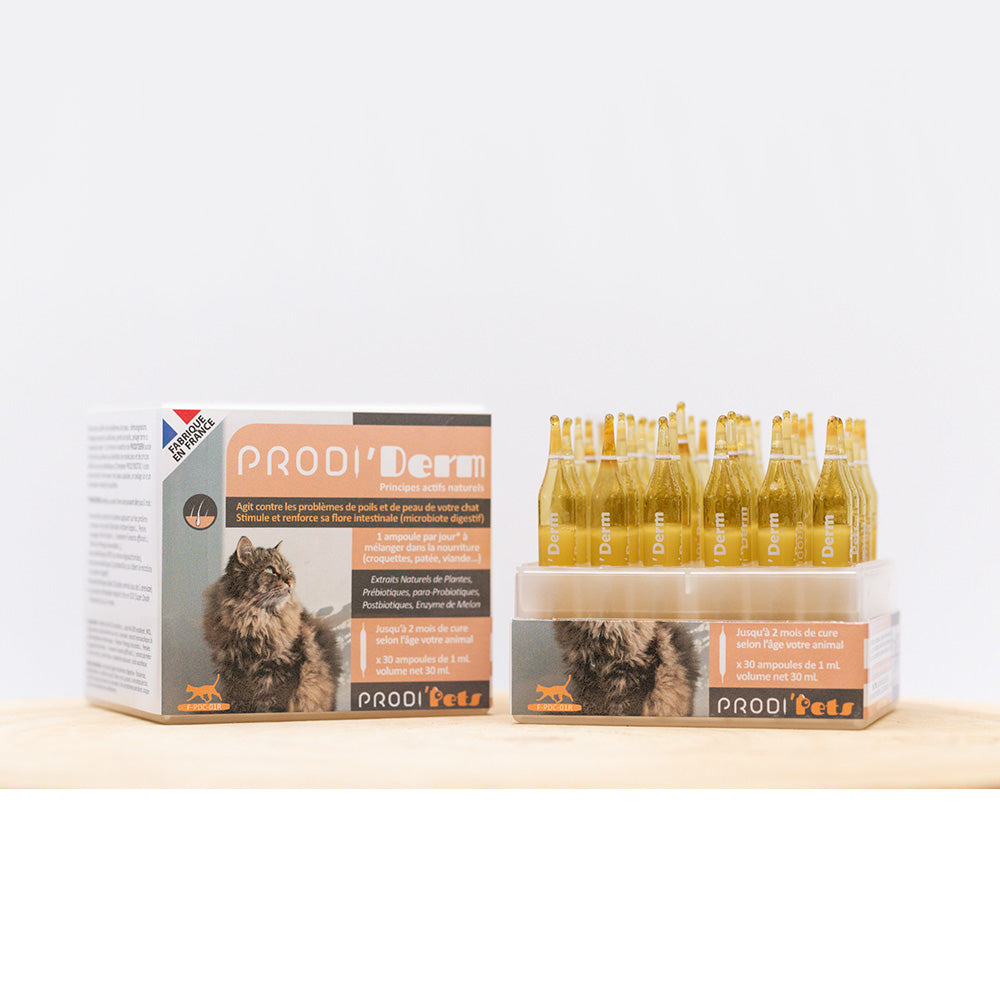 Prodi'Derm Cat helps with skin problems with probiotics and plant extracts