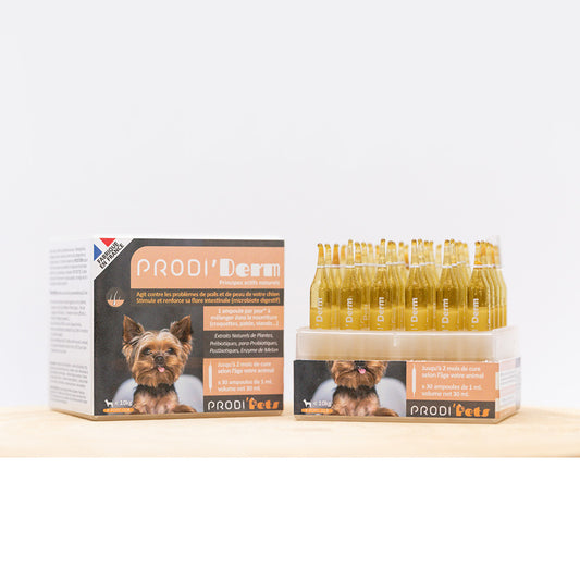 Prodi'Derm Dog apua iho-ongelmiin probiootit ja kasviuutteet