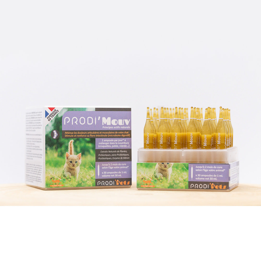 Prodi'Mouv Cat helps with muscle and joint problems with probiotics and plant extracts