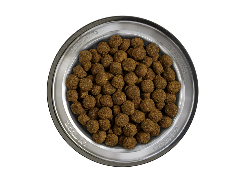 Belcando Baseline RANGER GF 12.5kg