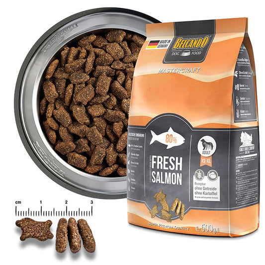 Belcando Mastercraft Fresh Salmon