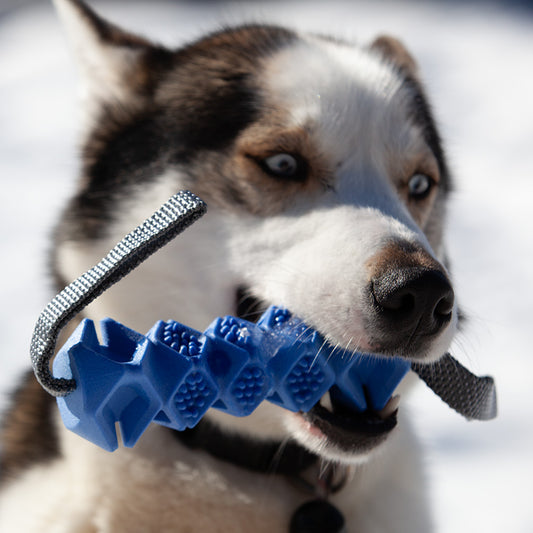 Zolux 4Season TPR luu, sininen