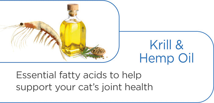 Francodex Joint treats, for joint support for cats, day 12/25