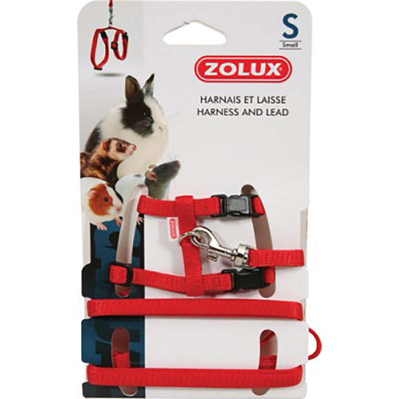 Zolux Rody Valjaat + Hihna S