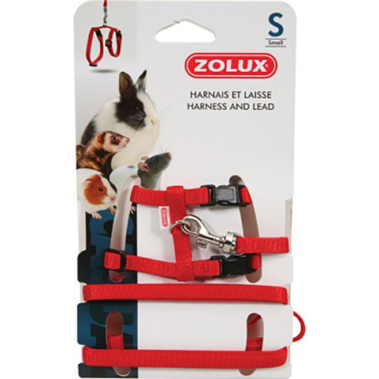 Zolux Rody Valjaat + Hihna S