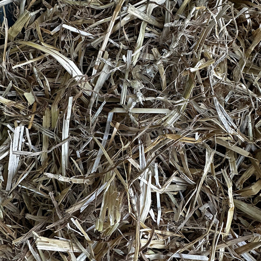 Zolux RodyField vehnänolki