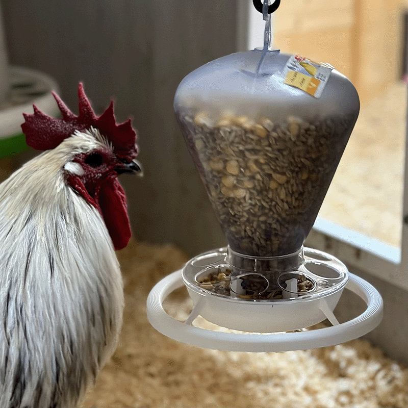Zolux bird feeder