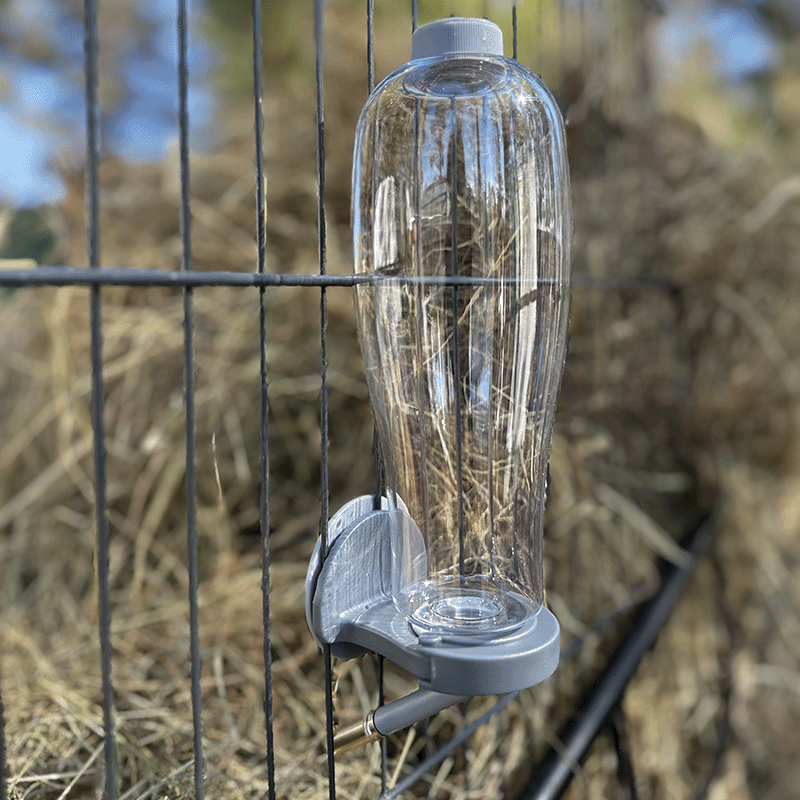 Zolux Rody Neo top-fill drinking bottle 500ml