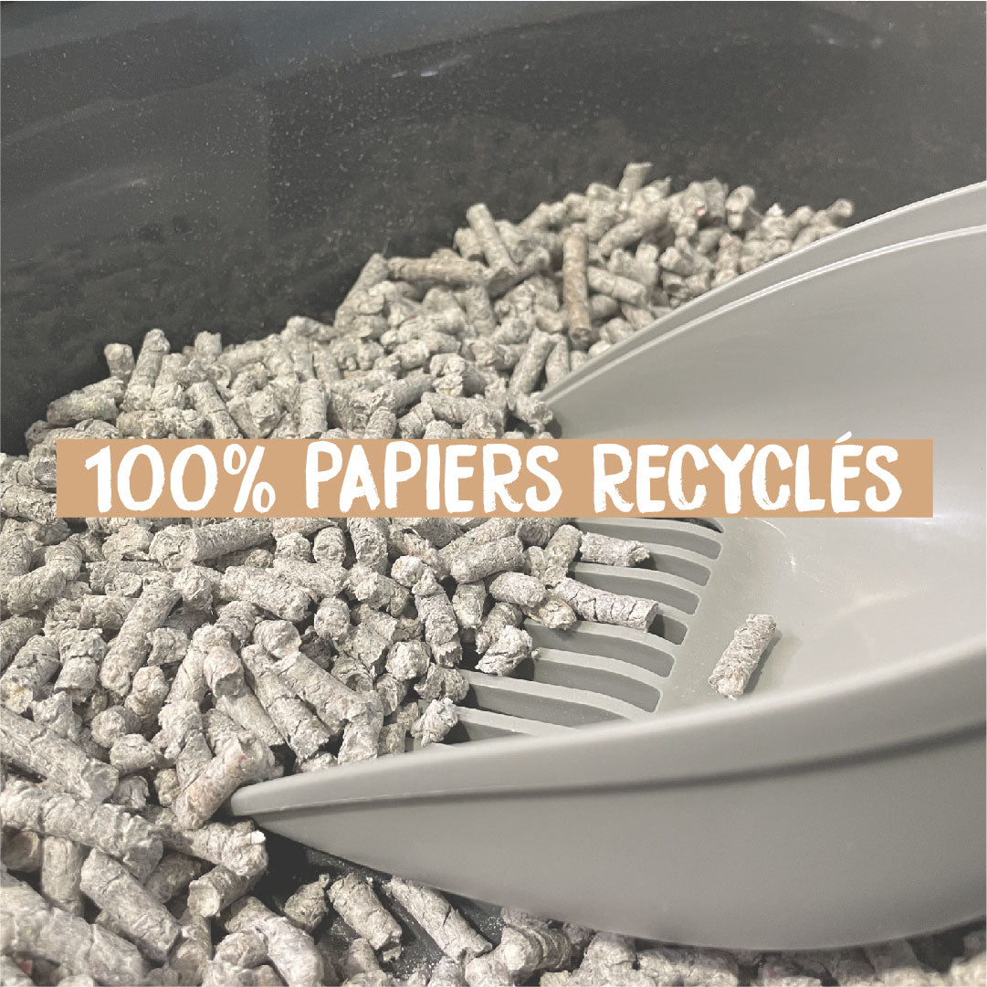 Zolux Purecat recyclable paper litter 10L