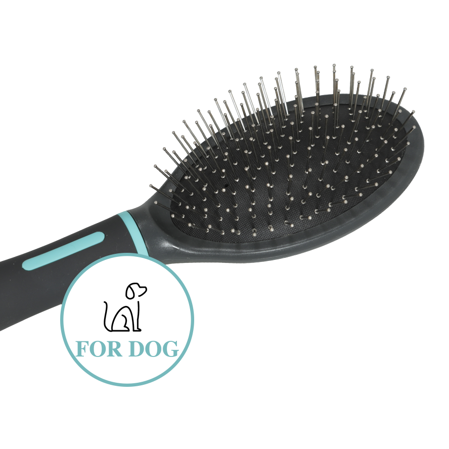 Zolux Anah pneumaattinen harja