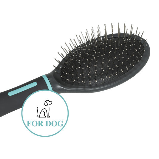 Zolux Anah pneumaattinen harja