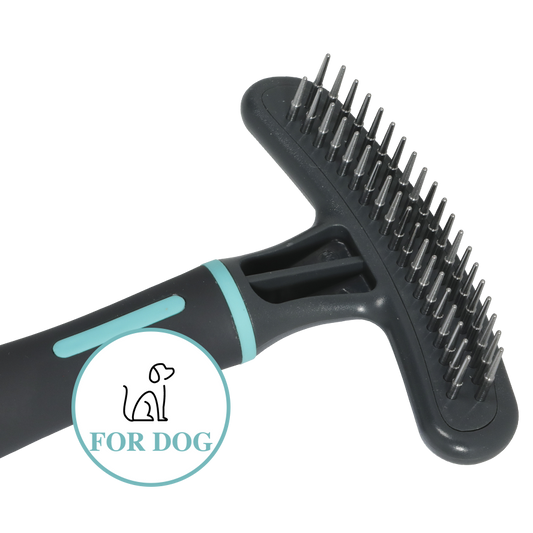 Zolux Anah hara piikit 2rivissä