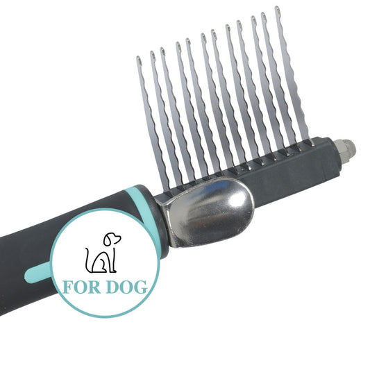 Zolux Anah takkuleikkuri 12 terää