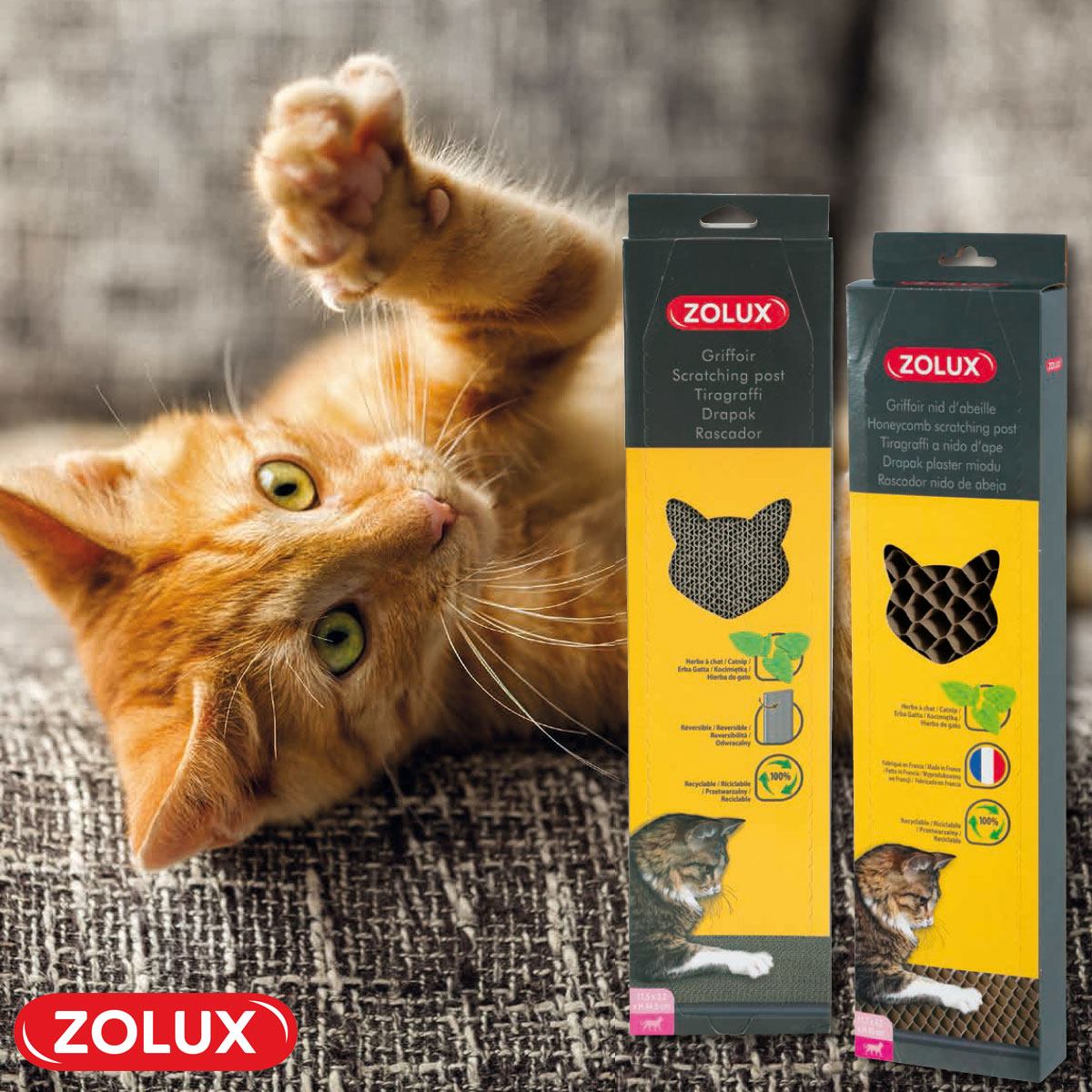 Zolux Cat scratching post with catnip