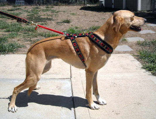 HDA Distance harness