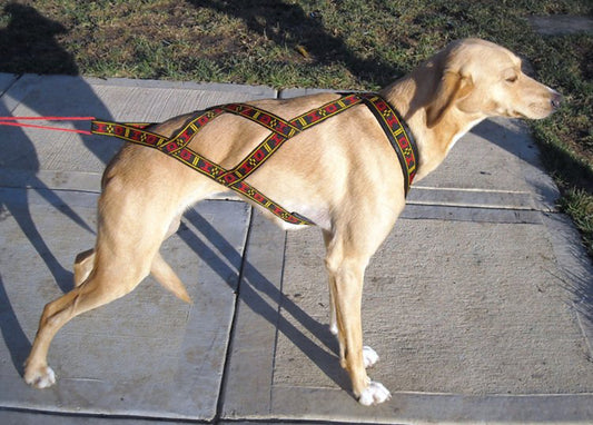 HDA Standard harness