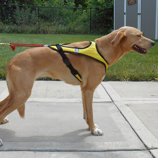 HDA Tough skin harness ULTRA