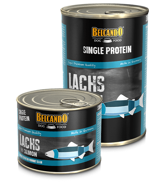 Belcanco Single Protein Salmon PLATE/6 pcs