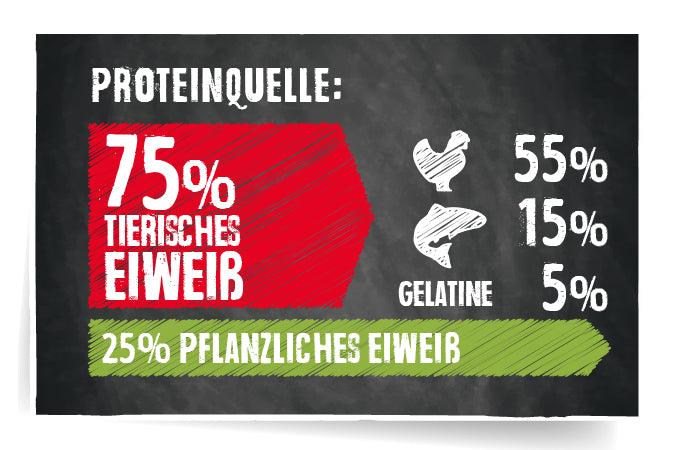 KAMPANJA Belcando Adult Active 12,5kg