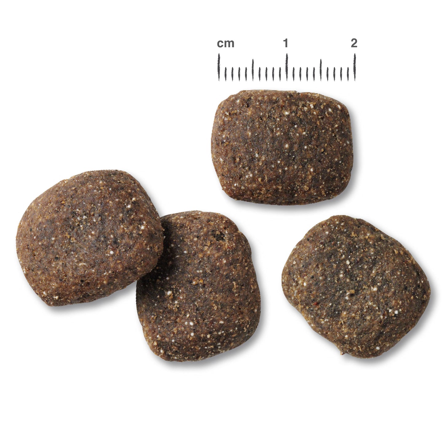 KAMPANJA Belcando Adult Active 12,5kg