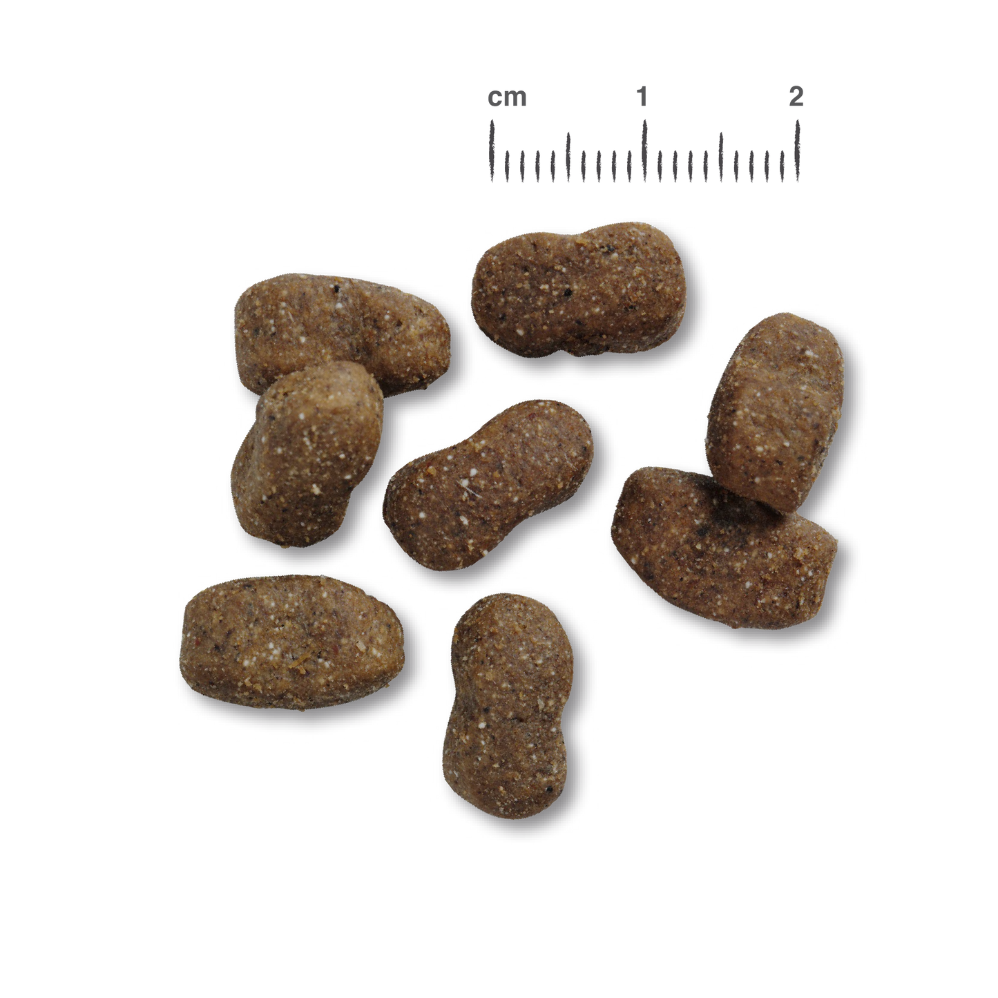 Belcando Adult GF Beef 12.5kg