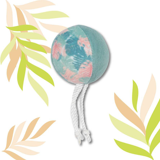 Zolux Ethi'cat pallo