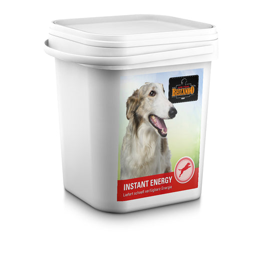 Hävikki Belcando instant energy 3kg / parasta ennen 3/25