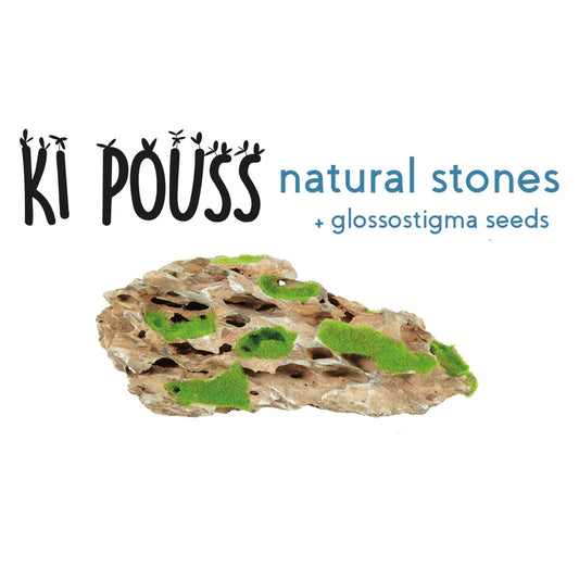 Zolux KiPouss Yellow Stone S