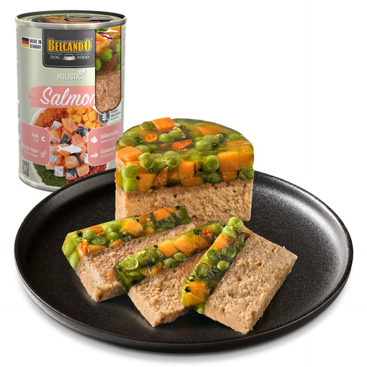 Belcando Holistic SALMON 400g/ 6kpl levy