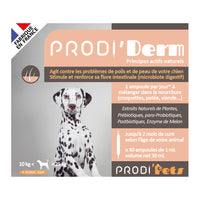 Prodi'Derm Dog apua iho-ongelmiin probiootit ja kasviuutteet