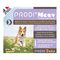 Prodi'Mouv Dog apua lihas-ja nivelvaivoihin probiootit ja kasviuutteet