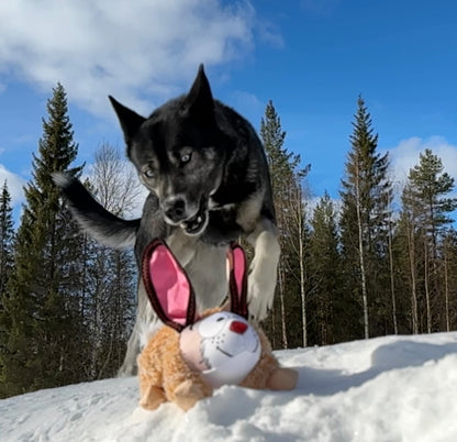 Zolux Dog "friends" pehmolelu