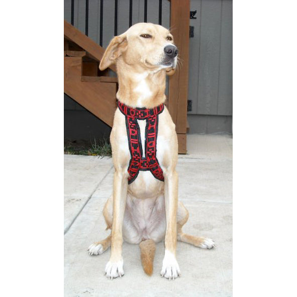 HDA Hound harness